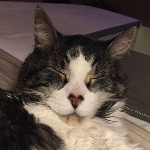 Meet your Posher, Janice